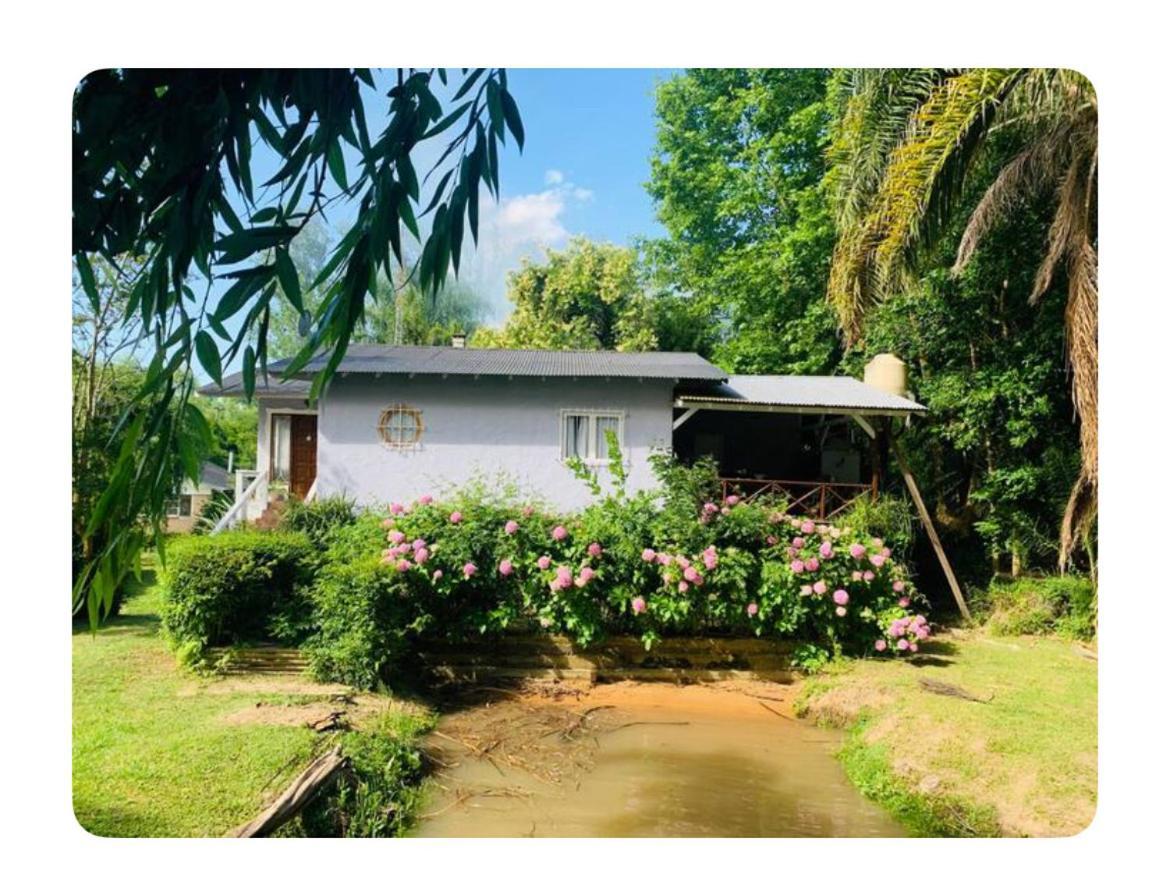 Casa Nolita Vila Tigre Exterior foto
